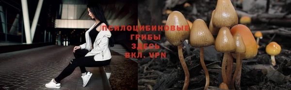мяу мяу мука Богородицк