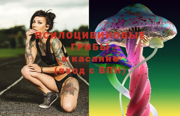 скорость Богданович