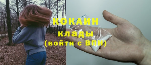 спайс Богородск