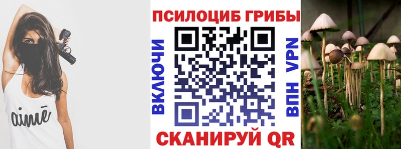 Псилоцибиновые грибы Psilocybine cubensis  Наро-Фоминск 